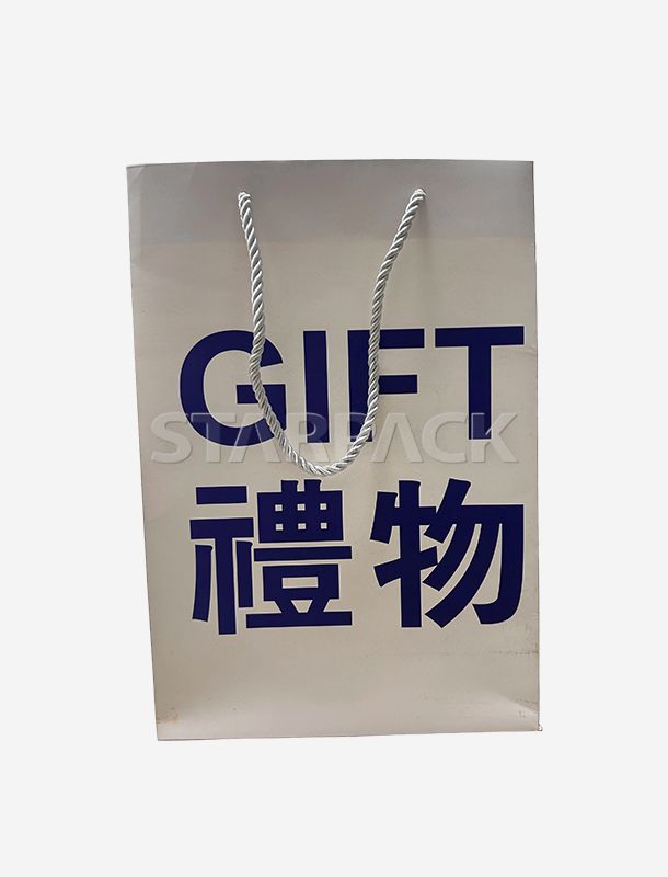 Paper Shopping Bags (Premium Brand Customization)