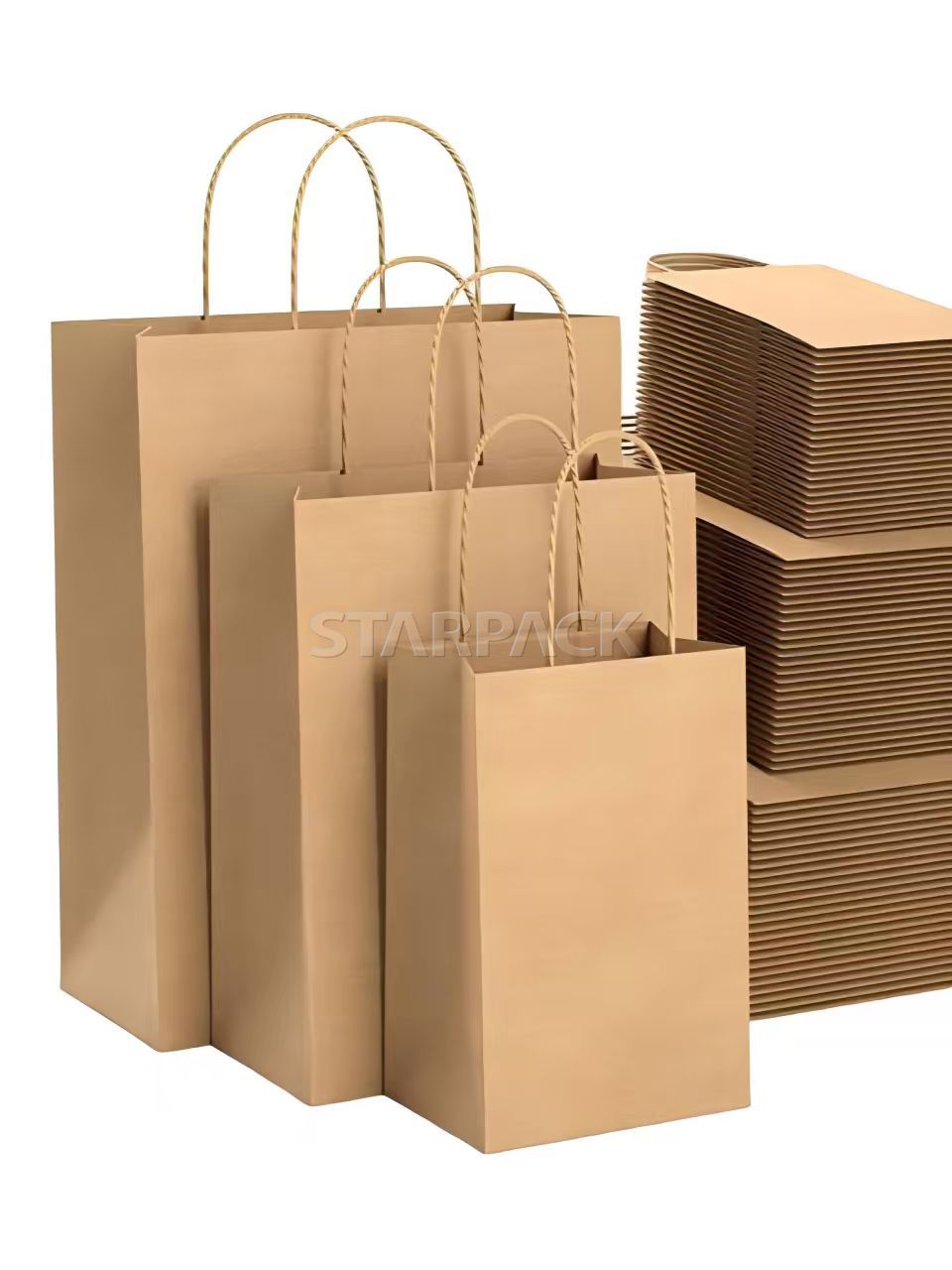 Paper Shopping Bag