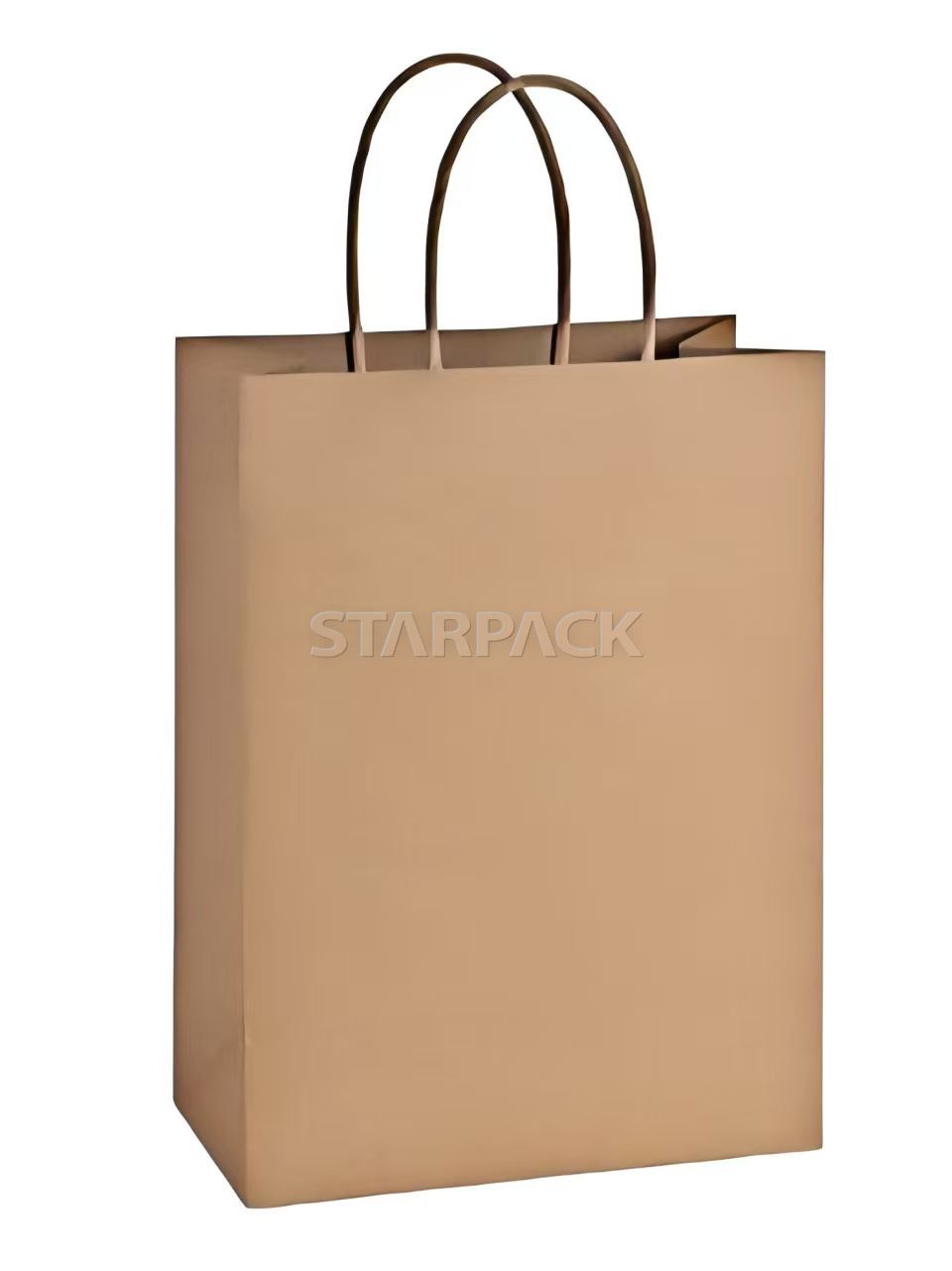 Paper Shopping Bag