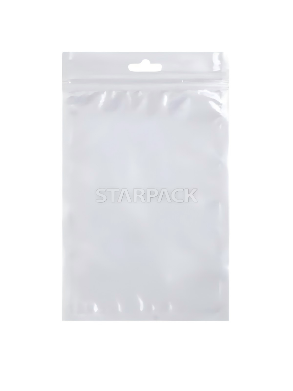 Blank Pearlescent Bag